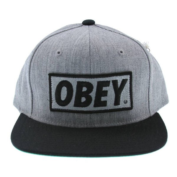 OBEY Cap